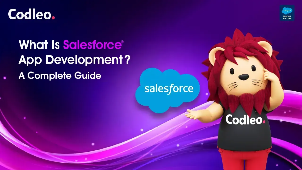 Salesforce Development Services