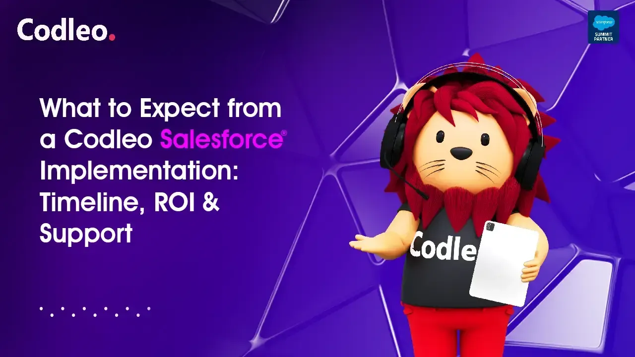 Salesforce Support Services