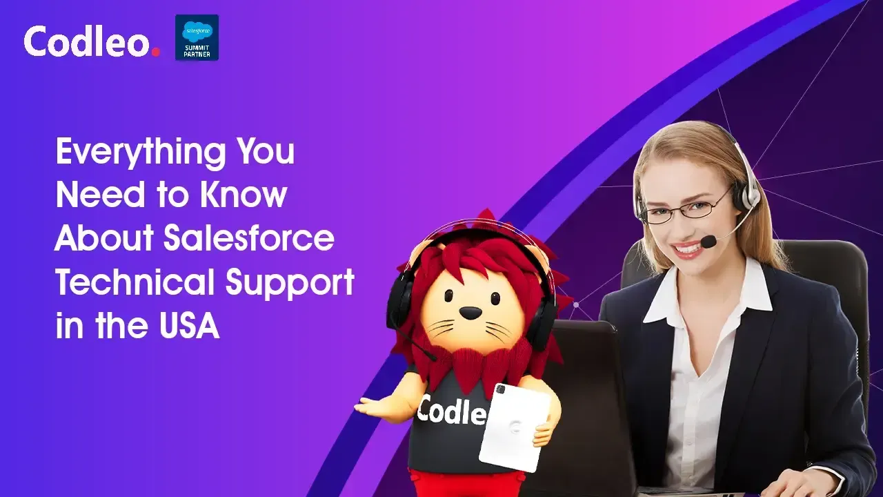 Salesforce Integration Services
