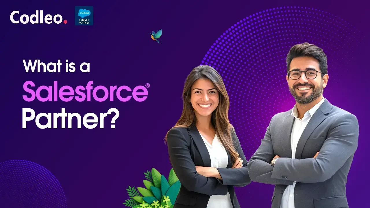 What Is a Salesforce Partner?