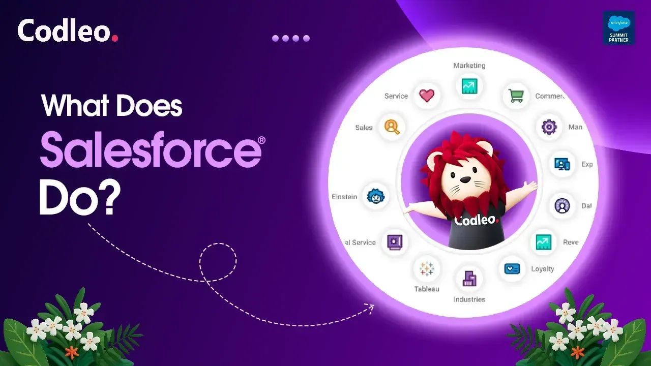 Salesforce Consulting Service