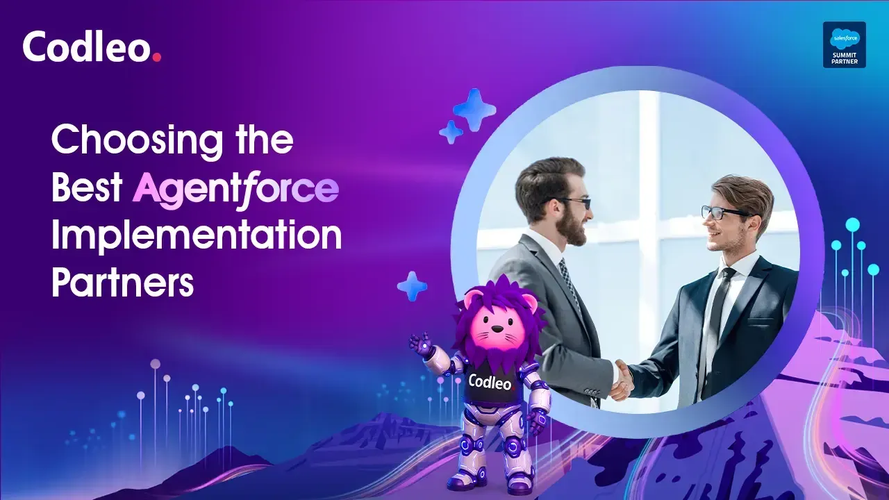 Salesforce Consulting Service