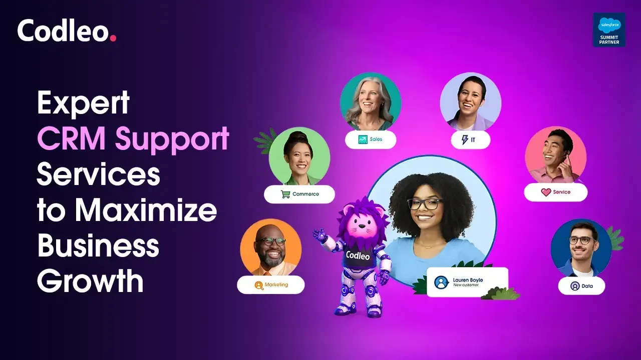 Expert CRM Support Services