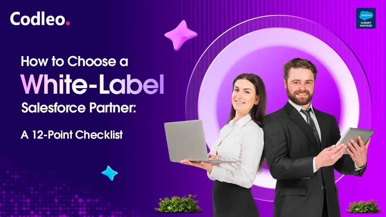 Salesforce partner