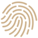 Blockchain fingerprint