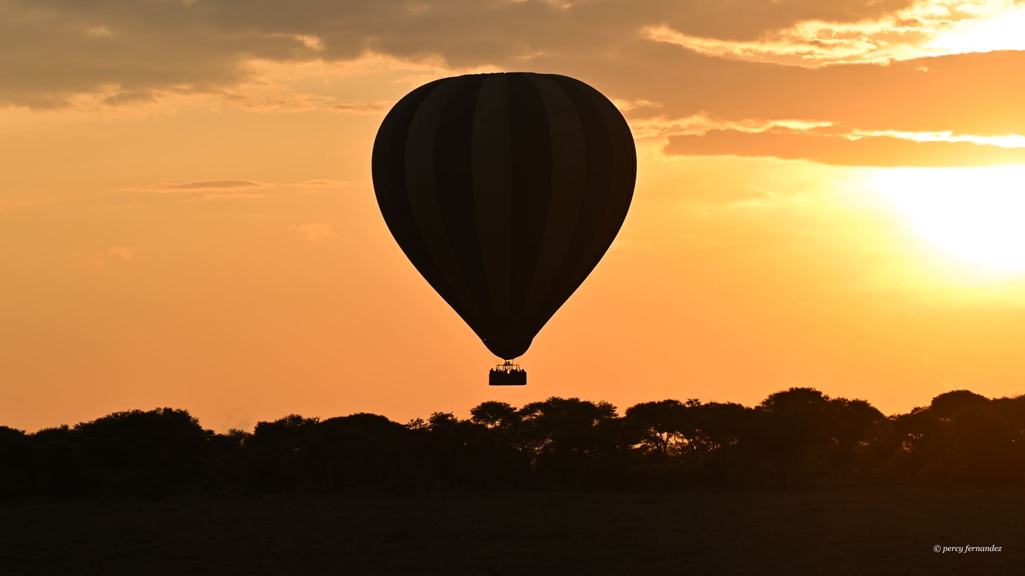 flying Odyssey Website 