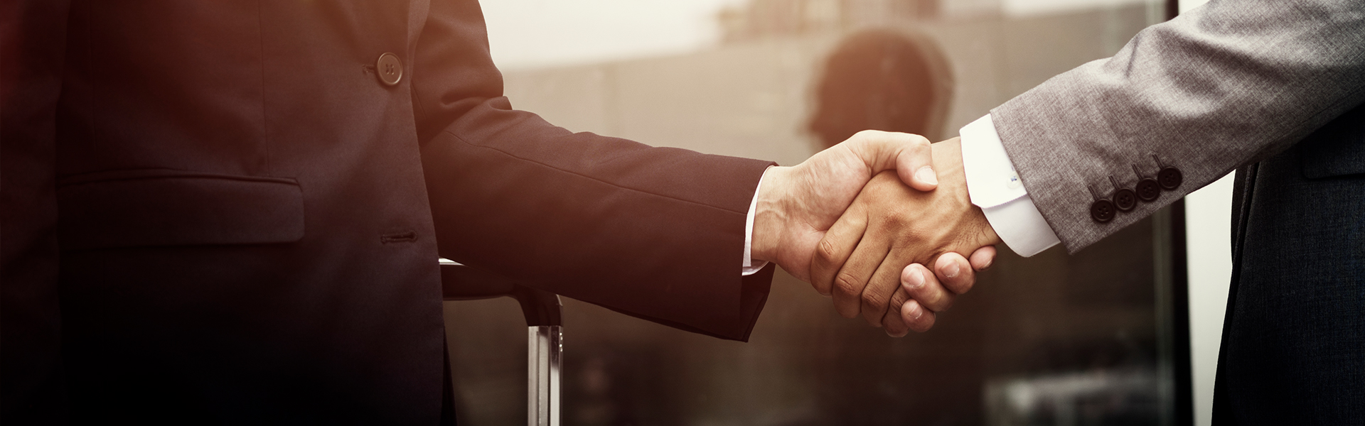 singhania & partner company