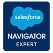 Logo of Salesforce org registered partner