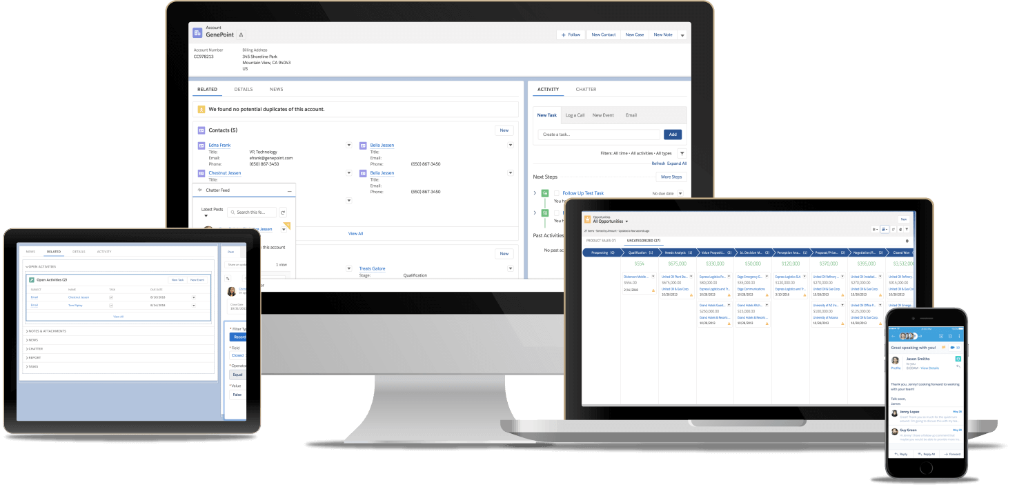 Web sales in salesforce