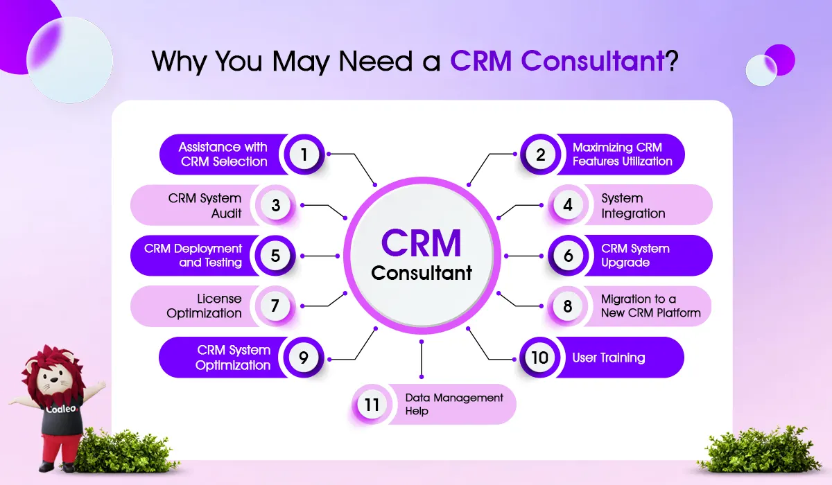 why you may need a CRM Consultant?