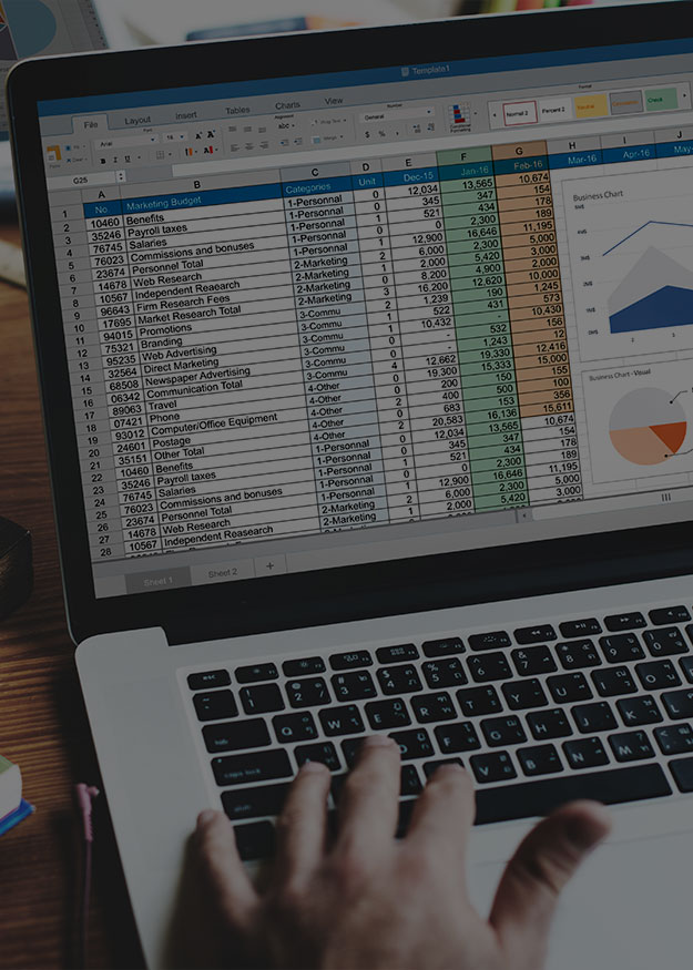 Excel  sheet on laptop