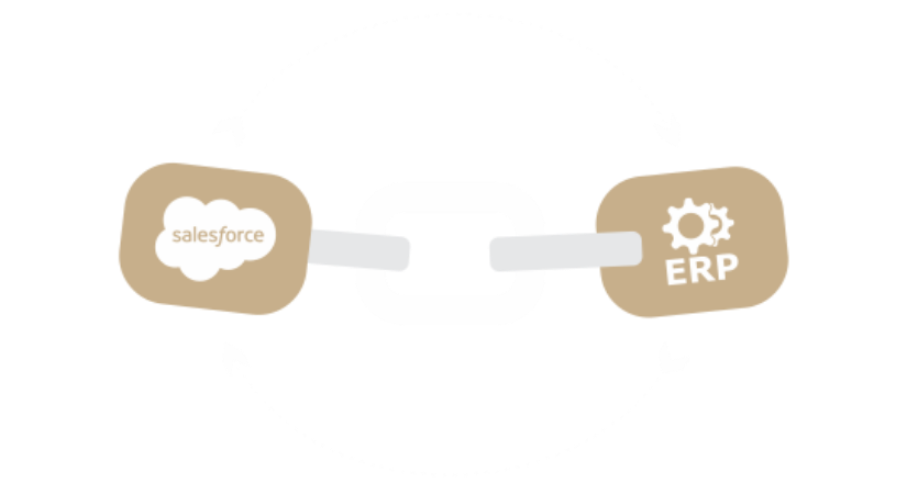 Web sales in salesforce